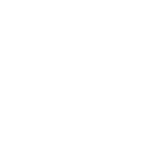 BorrowCube Logo